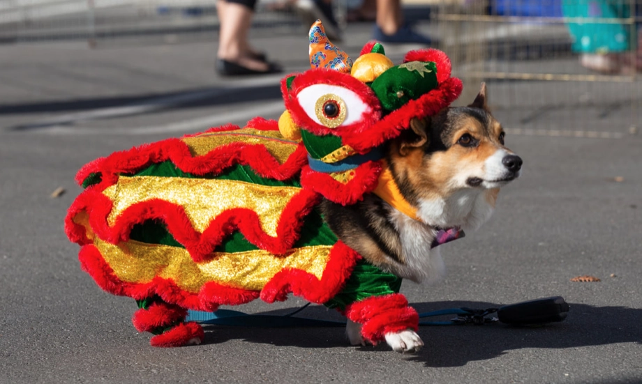 Sunnyvale Halloween Pet Parade & Faire