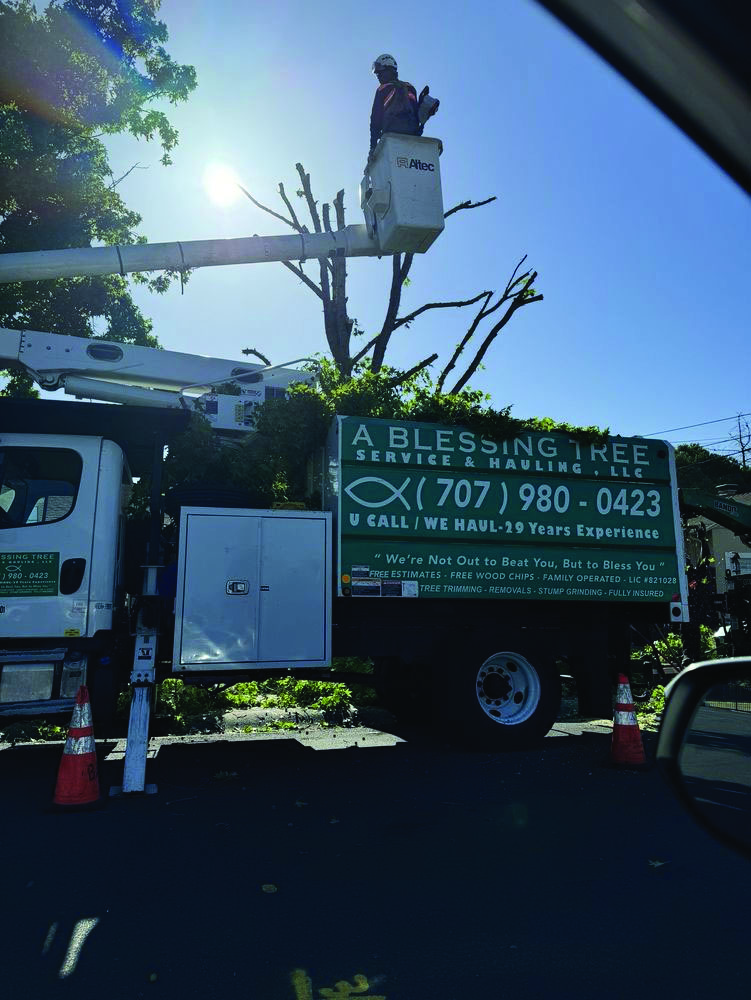 Company summary image