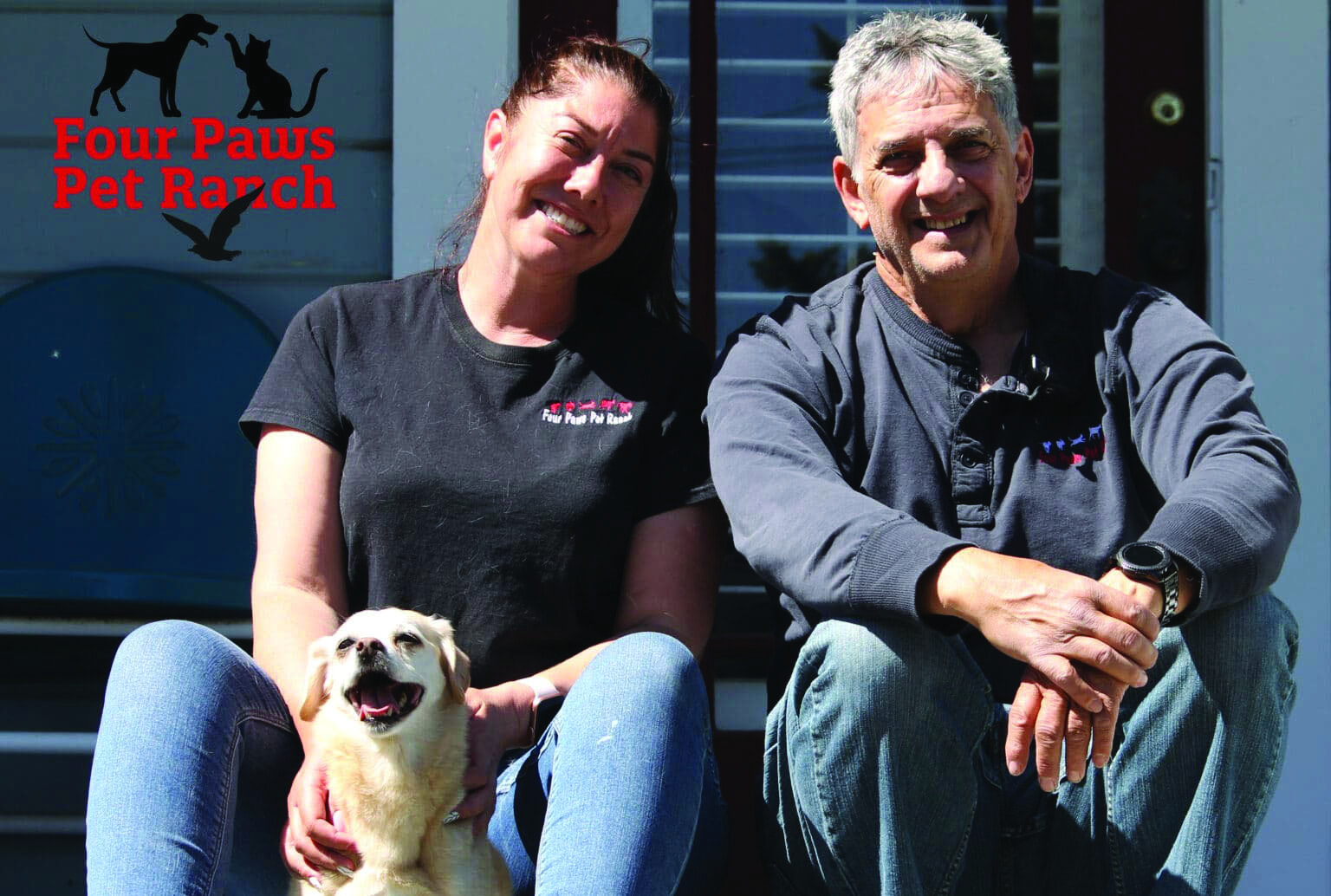 Company summary image