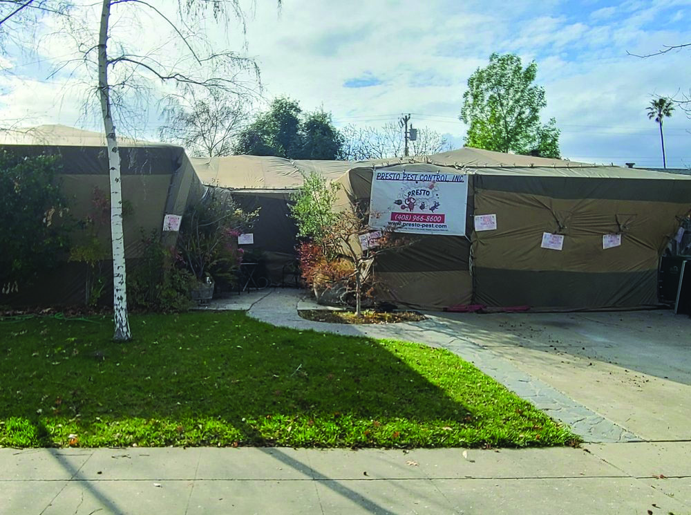 Company summary image