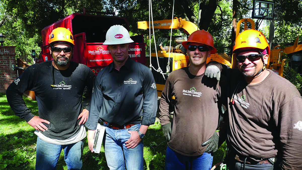 Company summary image