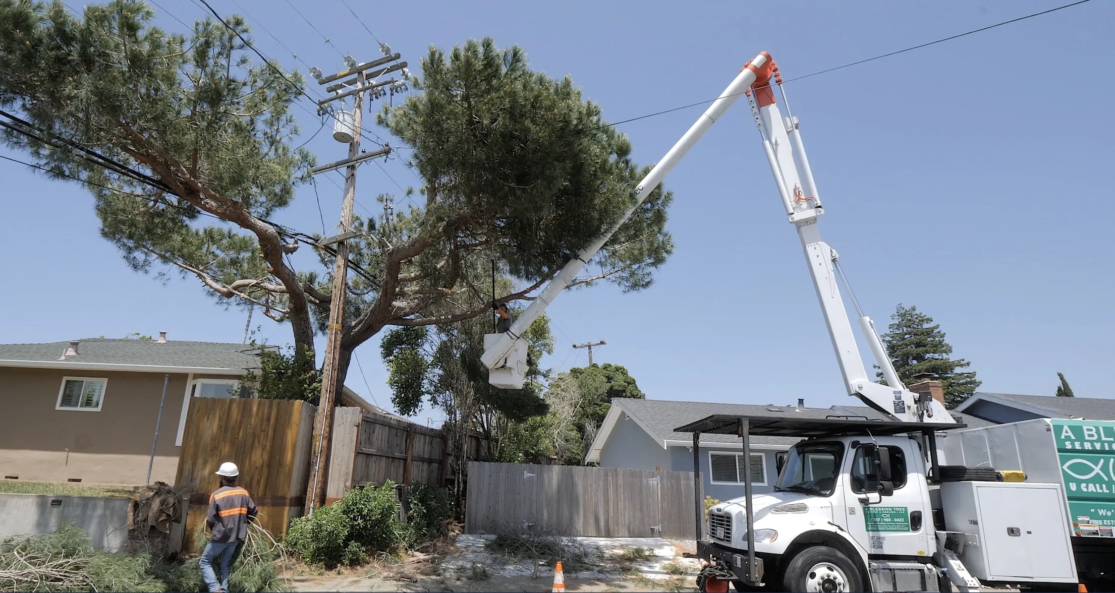 Picture of A Blessing Tree Service - A Blessing Tree Service