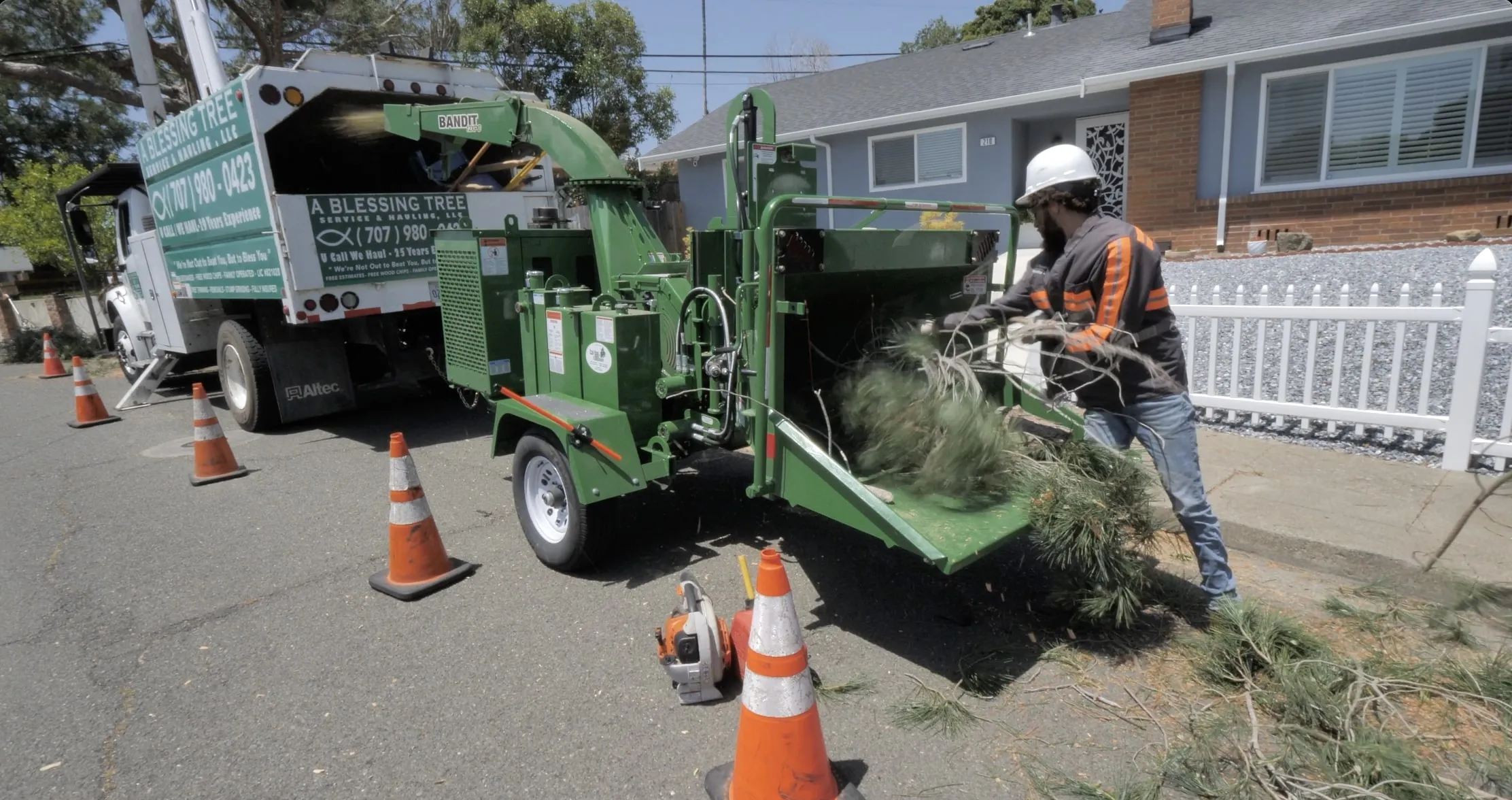 Picture of A Blessing Tree Service - A Blessing Tree Service