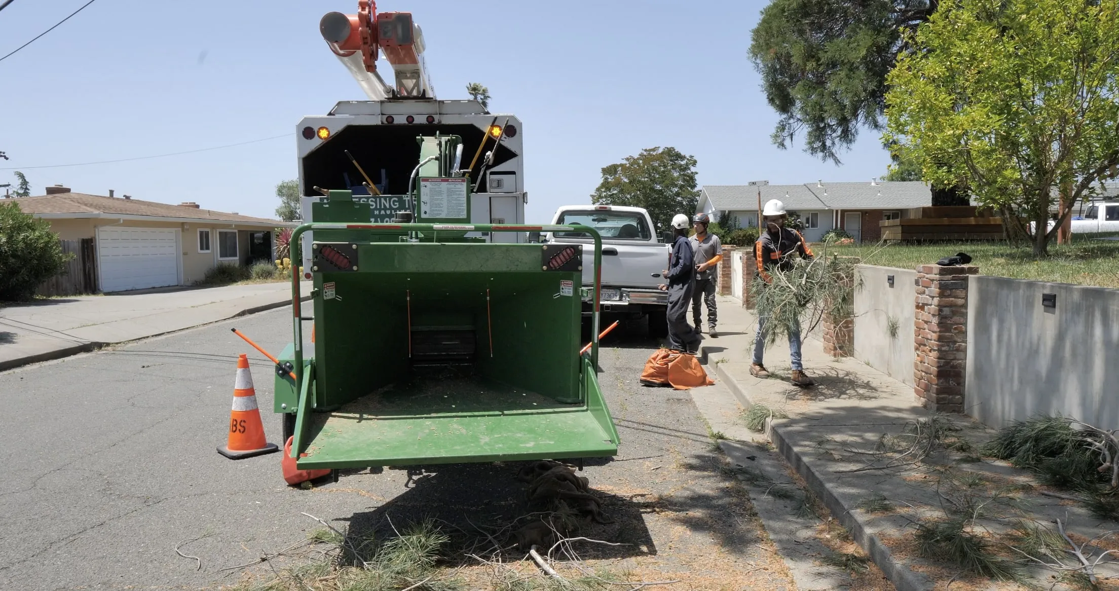 Picture of A Blessing Tree Service - A Blessing Tree Service