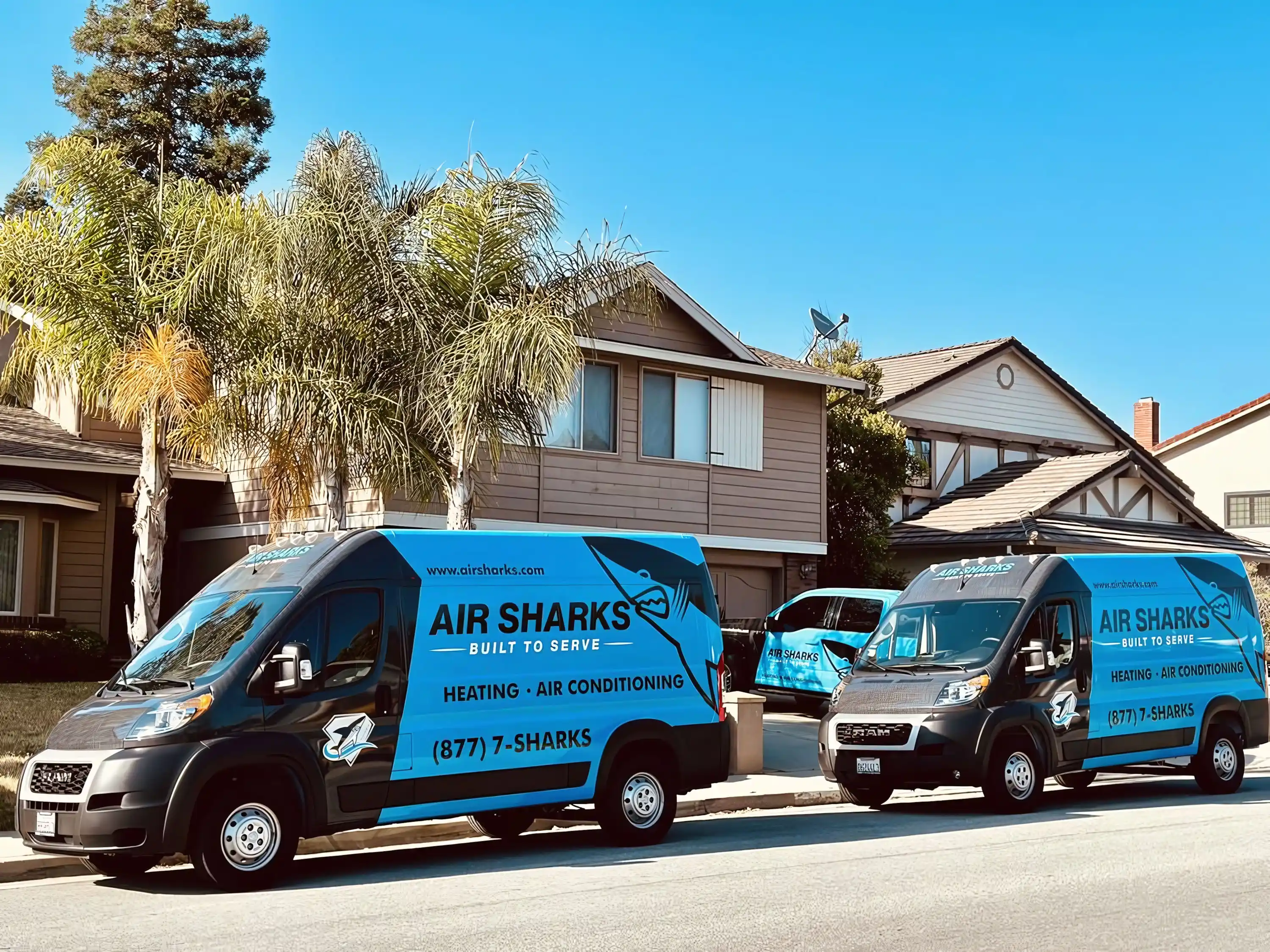 Picture of Air Sharks LLC - Air Sharks LLC