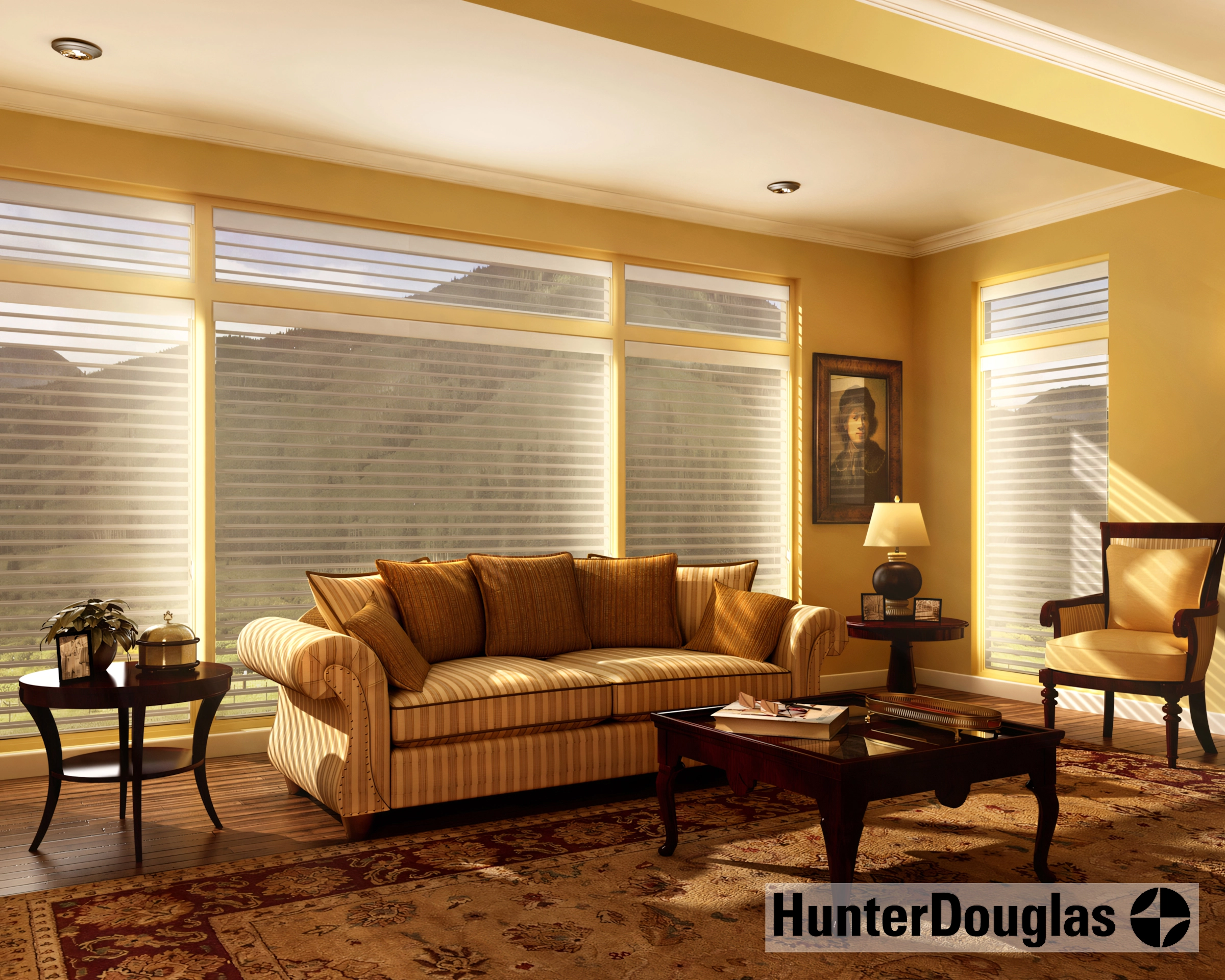 Picture of Hunter Douglas Silhouettes are an elegant choice for any room. - Creative Window Fashions, Inc.