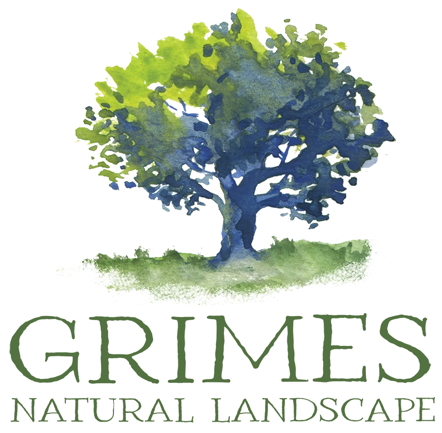 https://diamondcertified.org/img/logo/grimes-natural-landscape-2760-logo.webp