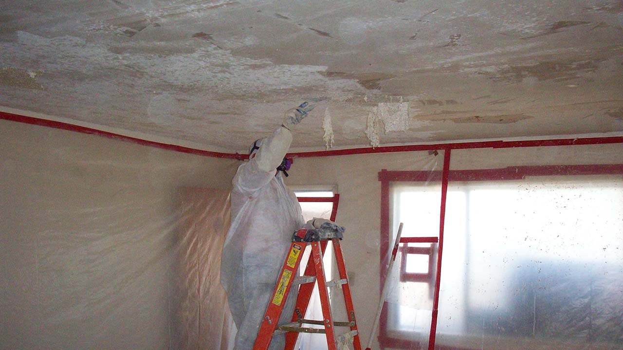 Bay Area Mold Removal Repair Diamond Certified