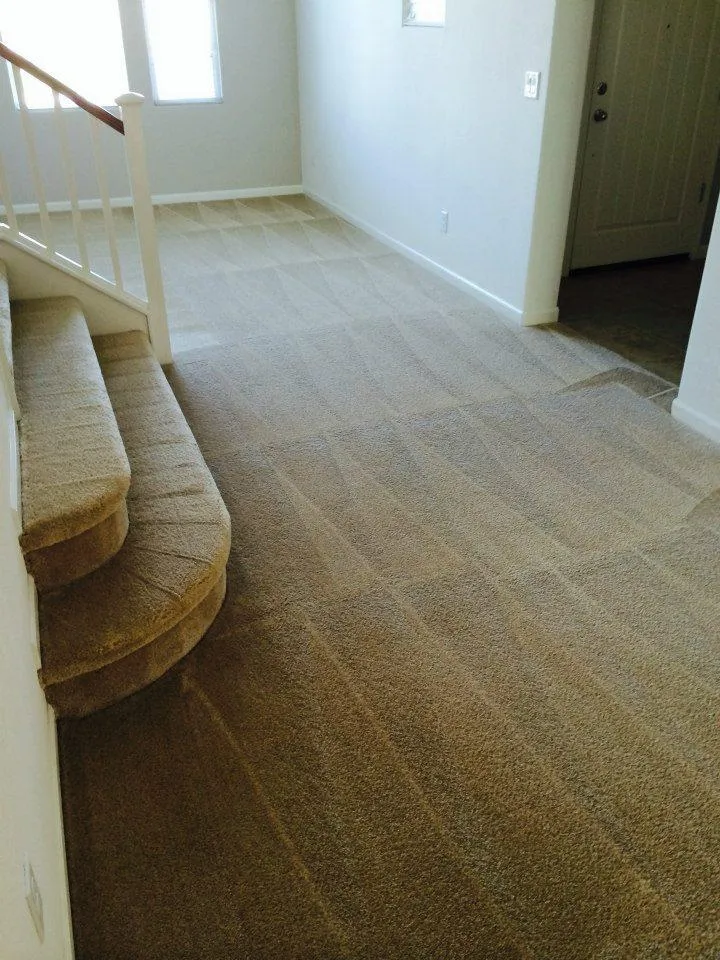 Picture of JC Carpet & Upholstery Cleaning - JC Carpet & Upholstery Cleaning, Inc.