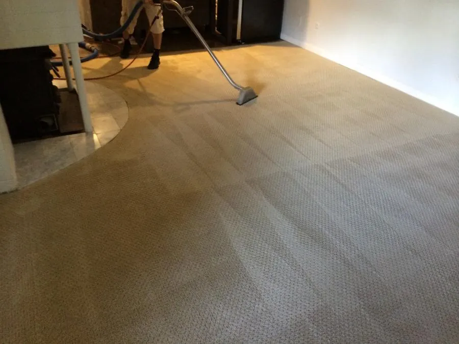 Picture of JC Carpet & Upholstery Cleaning - JC Carpet & Upholstery Cleaning, Inc.