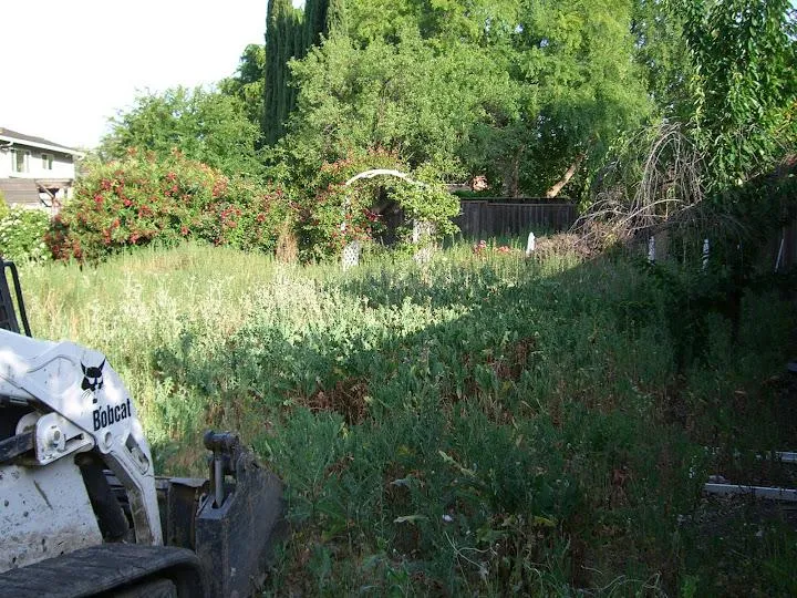 Picture of This customer's yard was overrun with weeds. - Dig & Demo