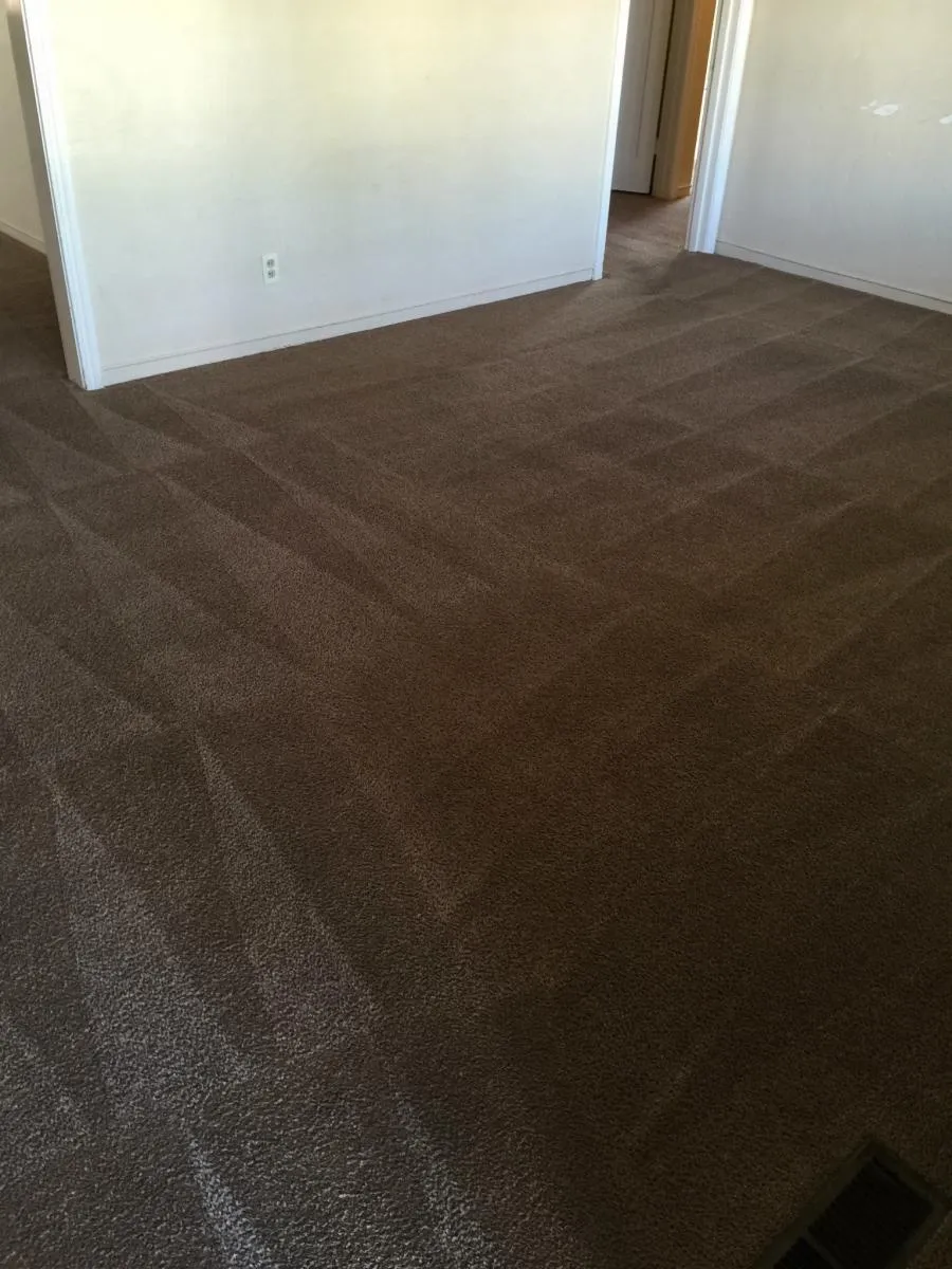 Picture of JC Carpet & Upholstery Cleaning - JC Carpet & Upholstery Cleaning, Inc.