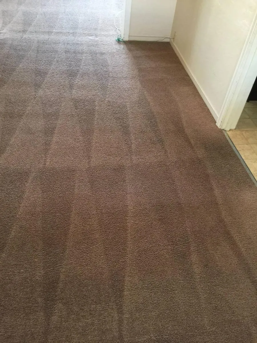 Picture of JC Carpet & Upholstery Cleaning - JC Carpet & Upholstery Cleaning, Inc.