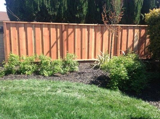 Picture of AMM Fencing - AMM Fencing