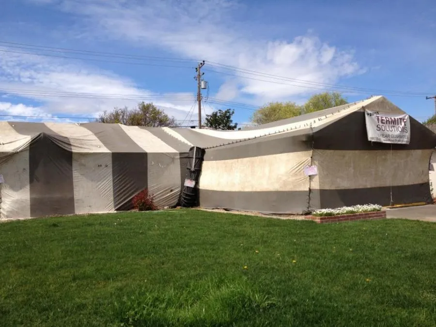 Picture of A residential tent fumigation project - Proven Termite Solutions