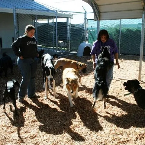 Picture of Four Paws Pet Ranch - Four Paws Pet Ranch