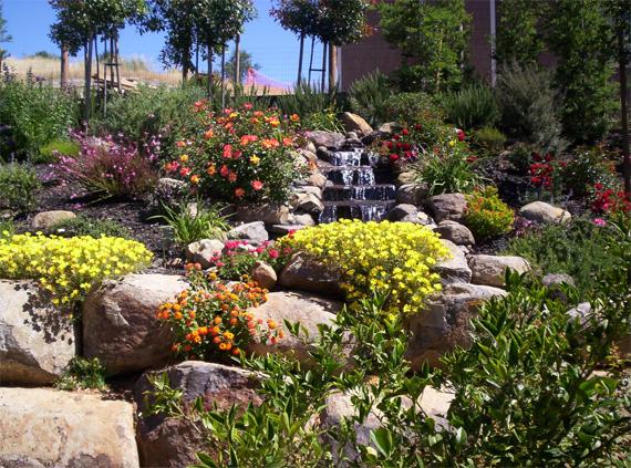 Picture of This award-winning garden in Healdsburg is built into the natural slope of the land. - Manzanita Landscape Construction, Inc.