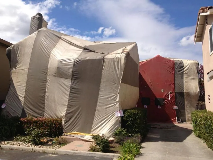 Picture of Proven Termite Solutions - Proven Termite Solutions