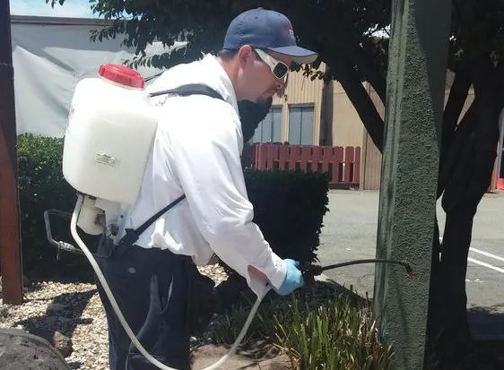 Picture of An All N One Pest Eliminators technician applies a treatment to a customer's property. - All N One Pest Eliminators