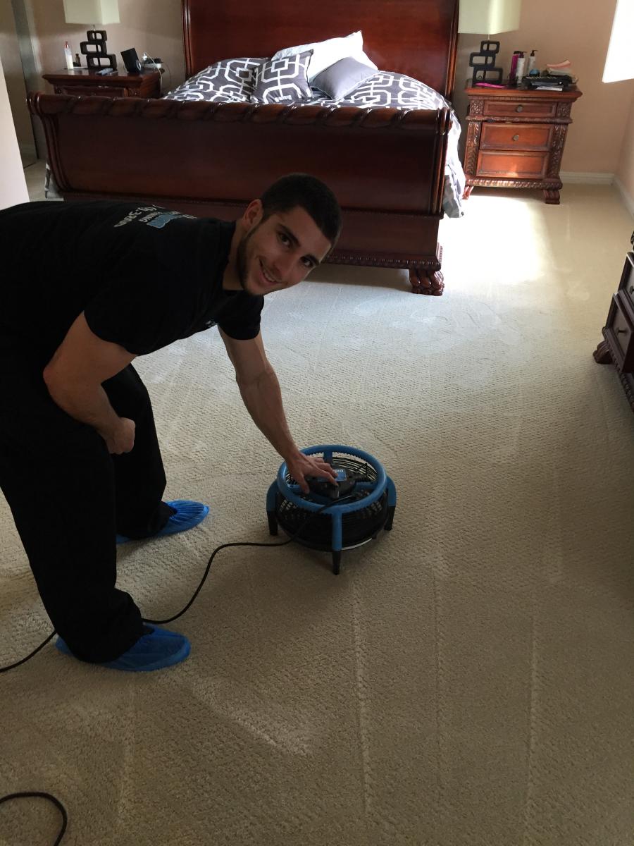 Picture of Maximum Carpet Cleaning - Maximum Carpet Cleaning