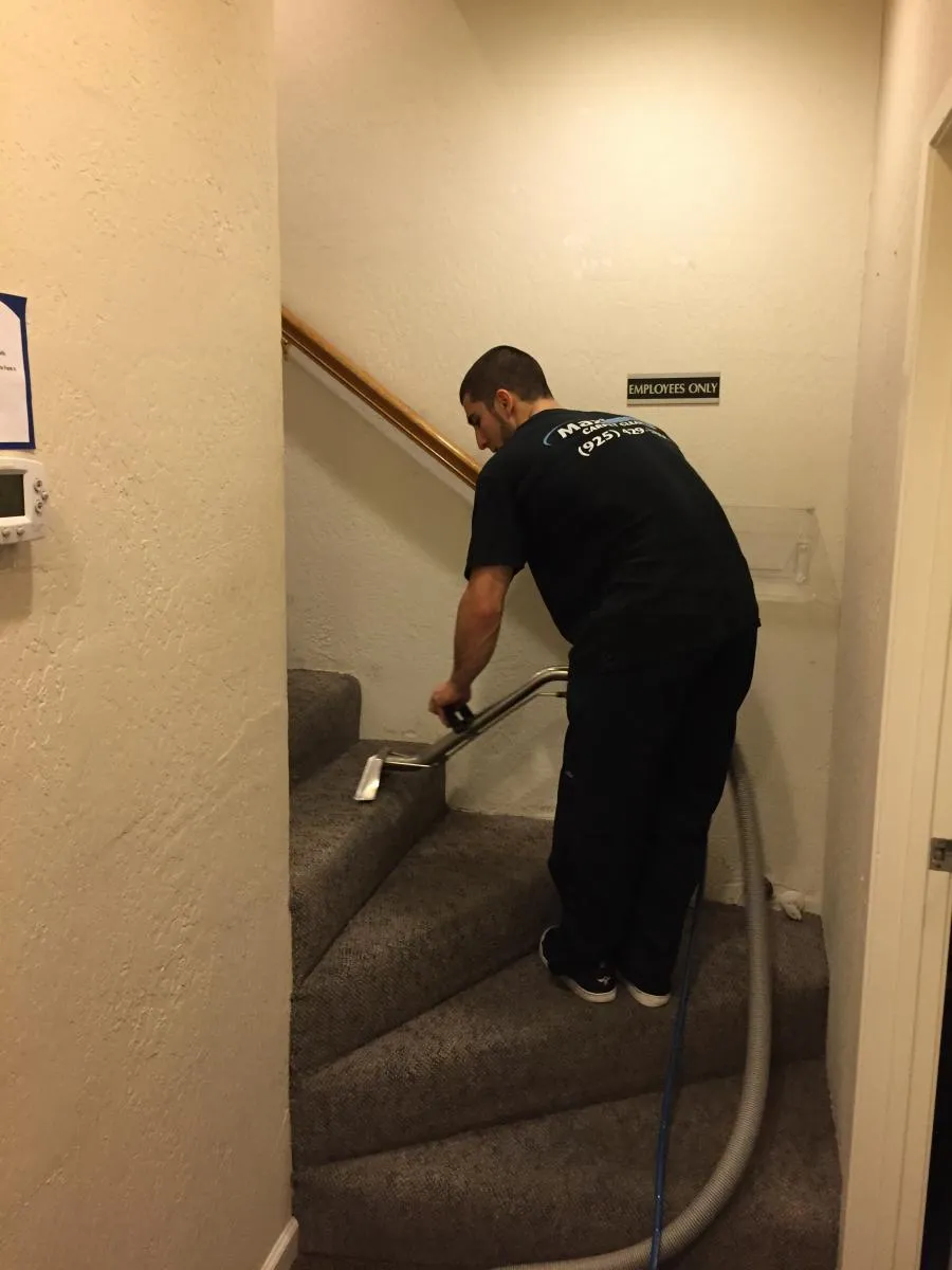 Picture of Maximum Carpet Cleaning - Maximum Carpet Cleaning