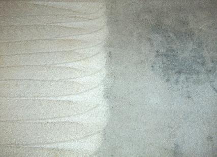 Picture of Maximum Carpet Cleaning - Maximum Carpet Cleaning