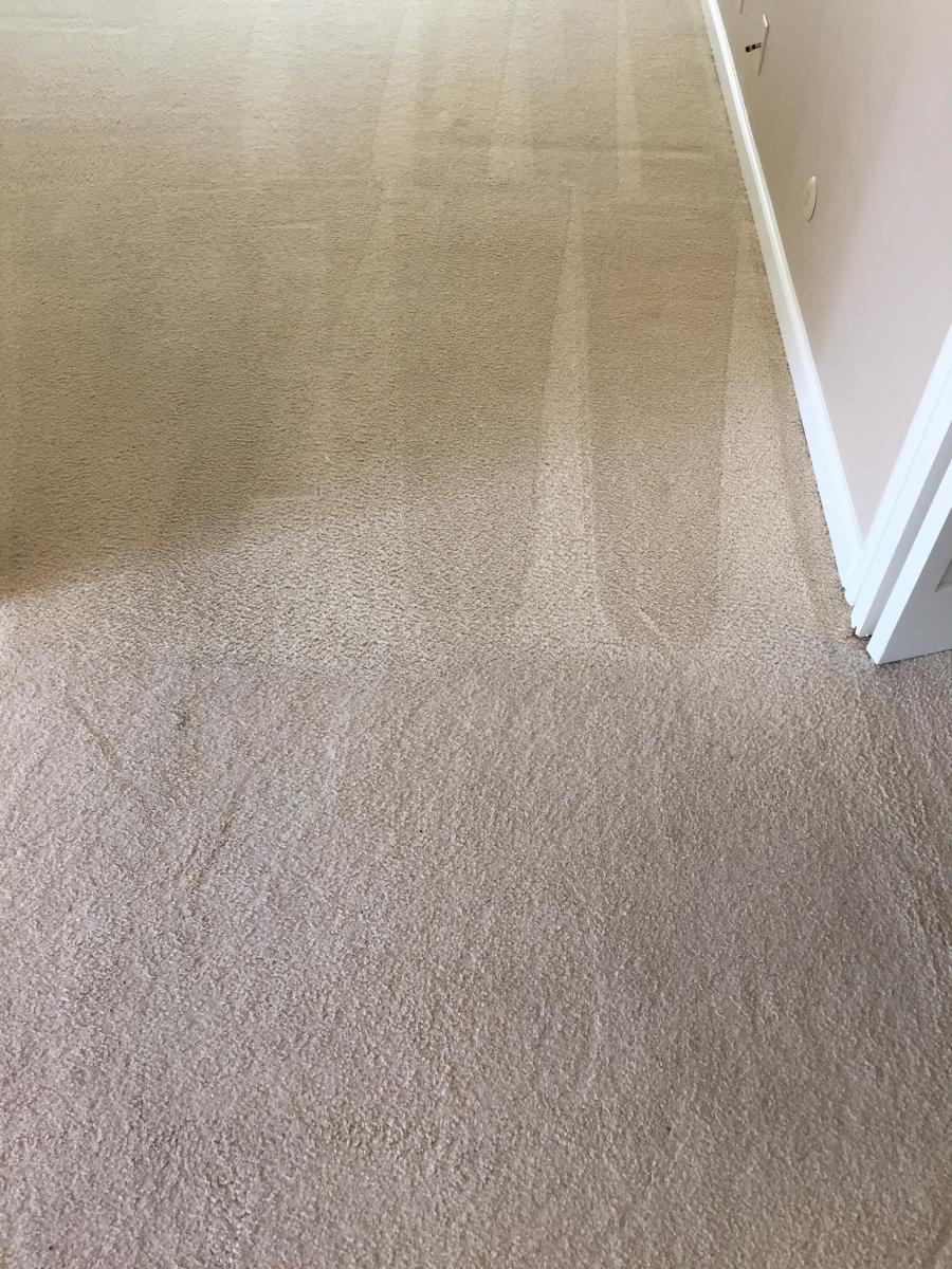 Picture of Maximum Carpet Cleaning - Maximum Carpet Cleaning