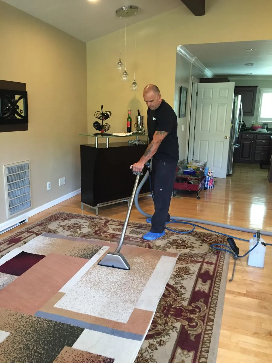 Picture of Maximum Carpet Cleaning - Maximum Carpet Cleaning