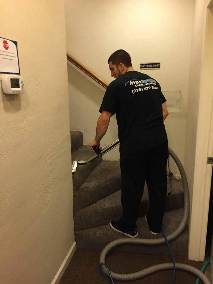 Picture of Maximum Carpet Cleaning - Maximum Carpet Cleaning