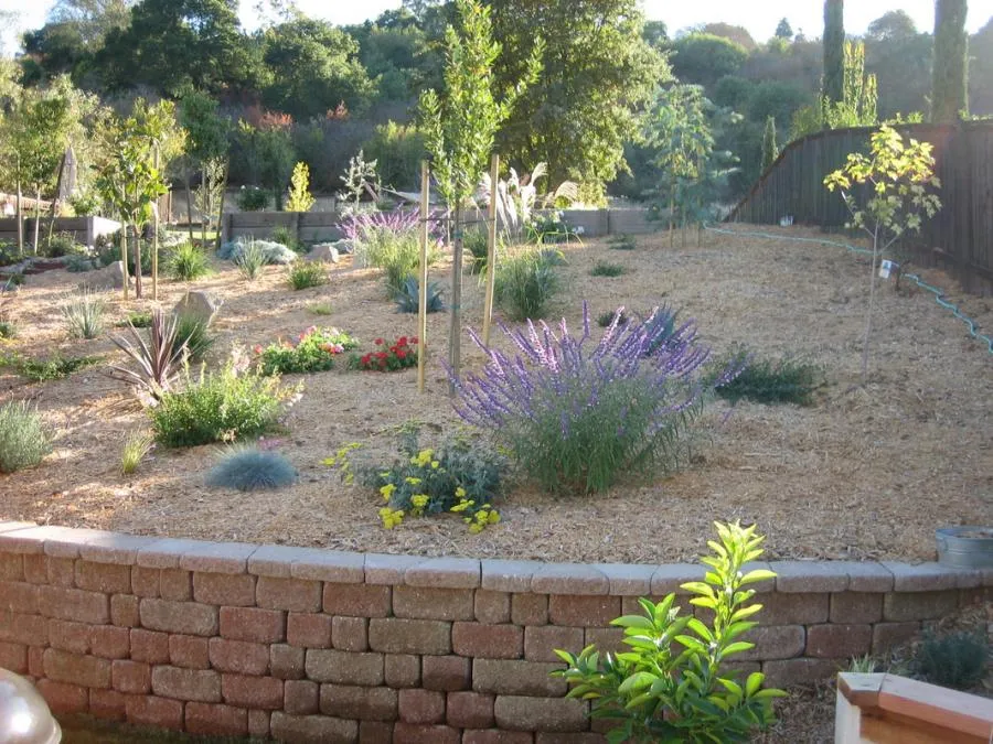 Picture of Natural Landscaping Contractors installed two retaining walls to make room for a play structure on this Lafayette property. - Natural Landscaping Contractors