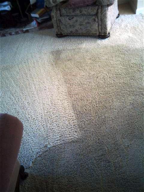 Picture of North Coast Carpet Care Inc. - North Coast Carpet Care, Inc.