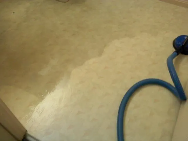 Picture of North Coast Carpet Care Inc. - North Coast Carpet Care, Inc.