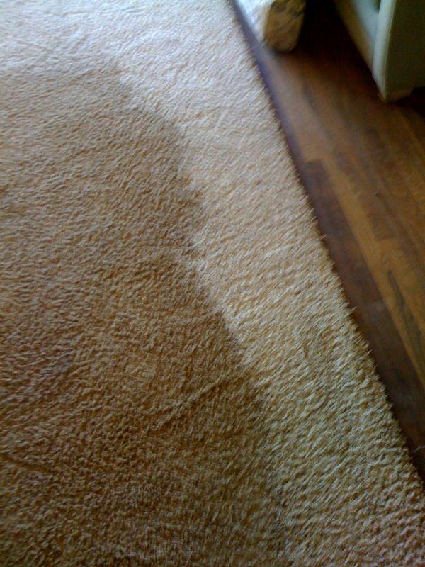 Picture of North Coast Carpet Care Inc. - North Coast Carpet Care, Inc.