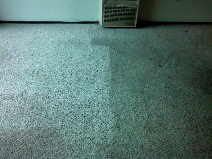 Picture of North Coast Carpet Care Inc. - North Coast Carpet Care, Inc.