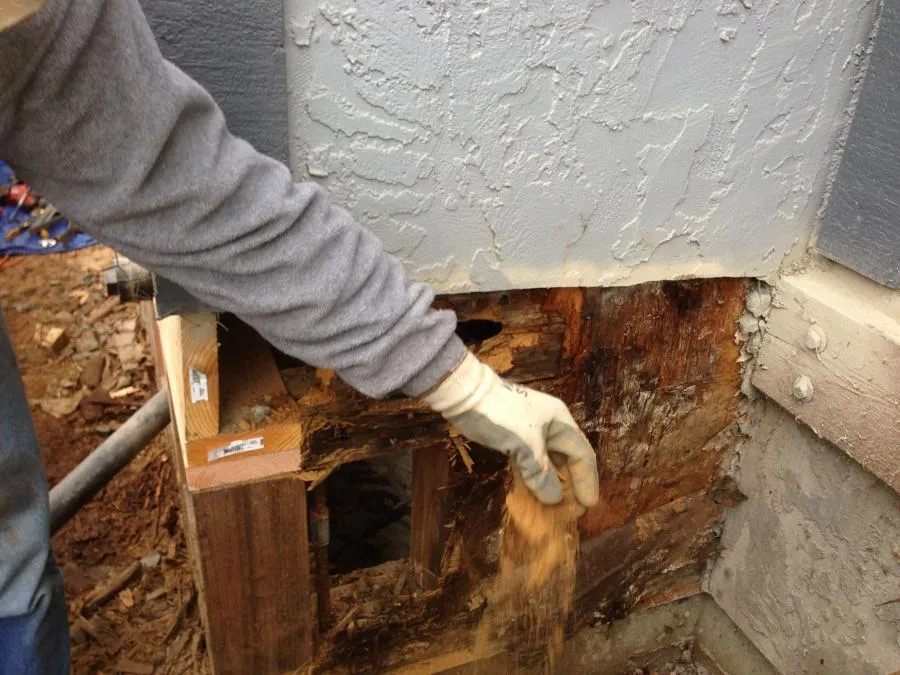 Picture of Redwood Empire Termite & Pest Control - Redwood Empire Termite & Pest Control