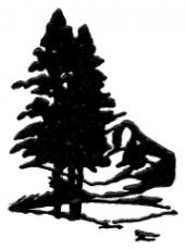 Dana Lund Landscaping, LLC logo