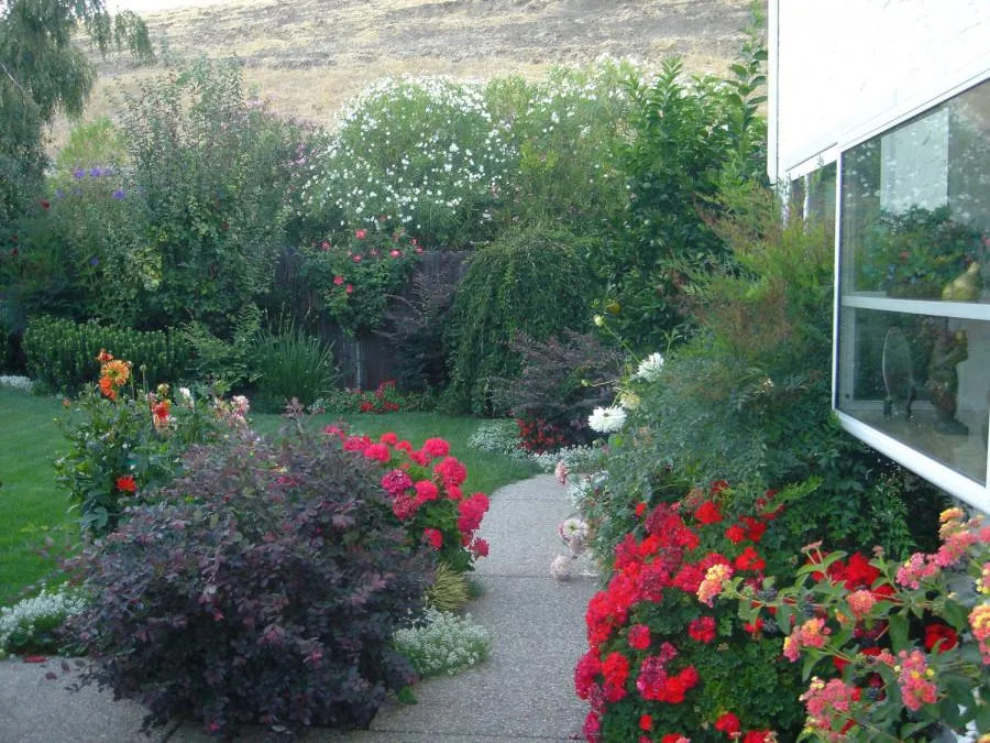 Picture of A planting bed with different varieties of colors and foliage in Moraga - Pacific Landscaping