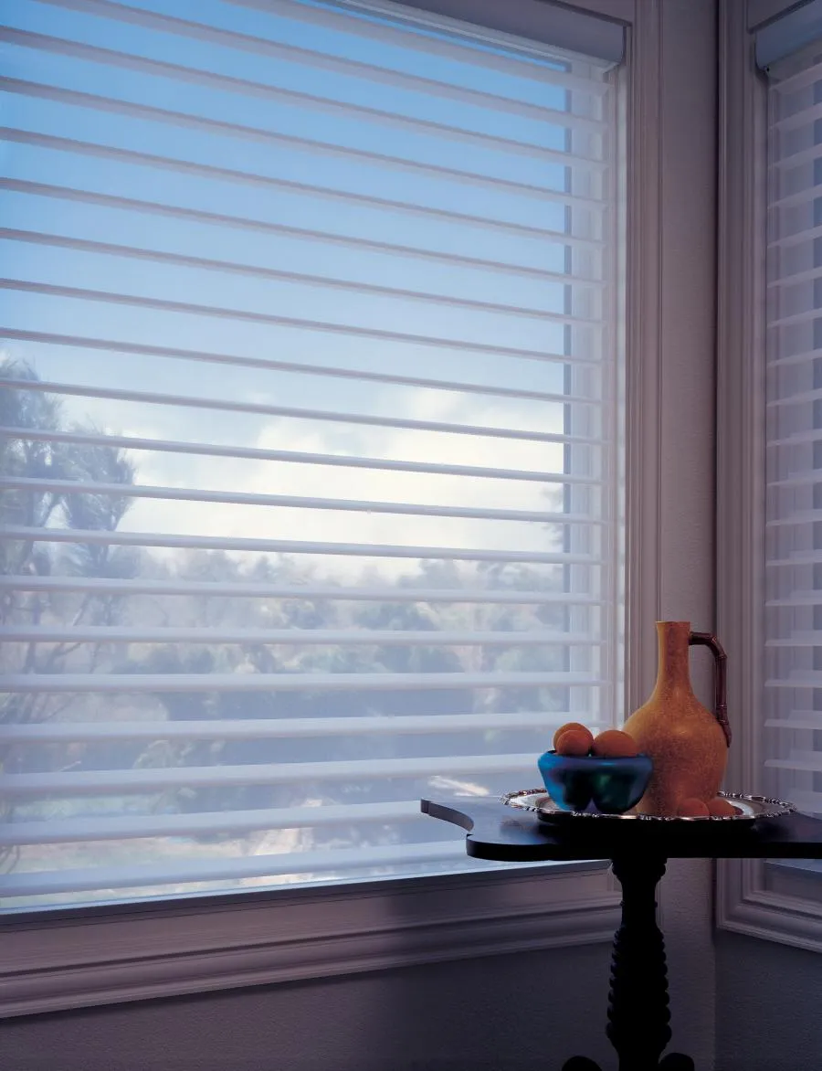 Picture of Hunter Douglas Silhouettes take rooms from sheer to total privacy. - Creative Window Fashions, Inc.