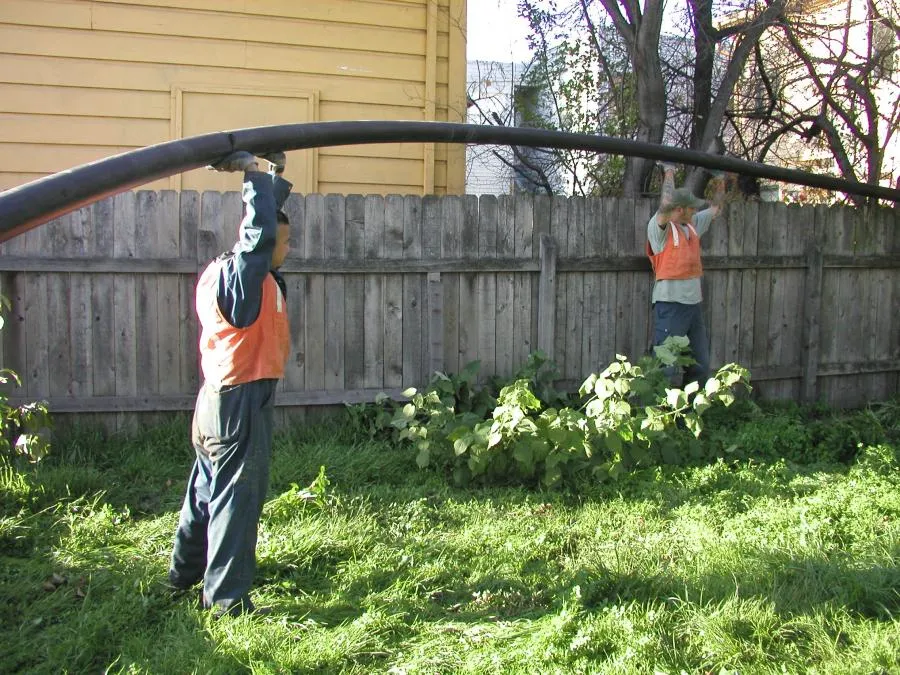 Picture of A trenchless sewer replacement with flexible pipe - Pipe Spy Inc.