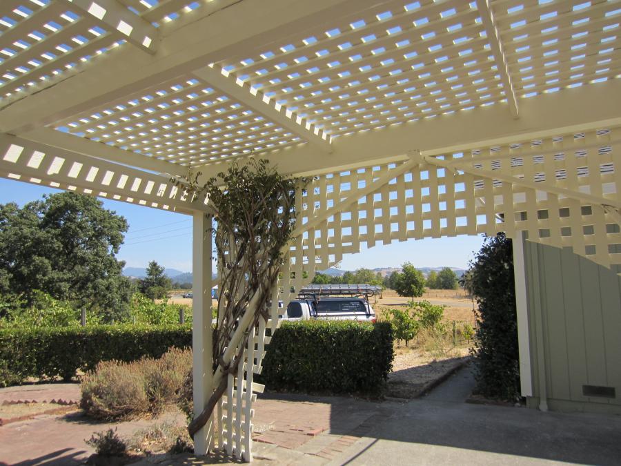 Picture of A look at a recently painted trellis - Mike Chavez Painting