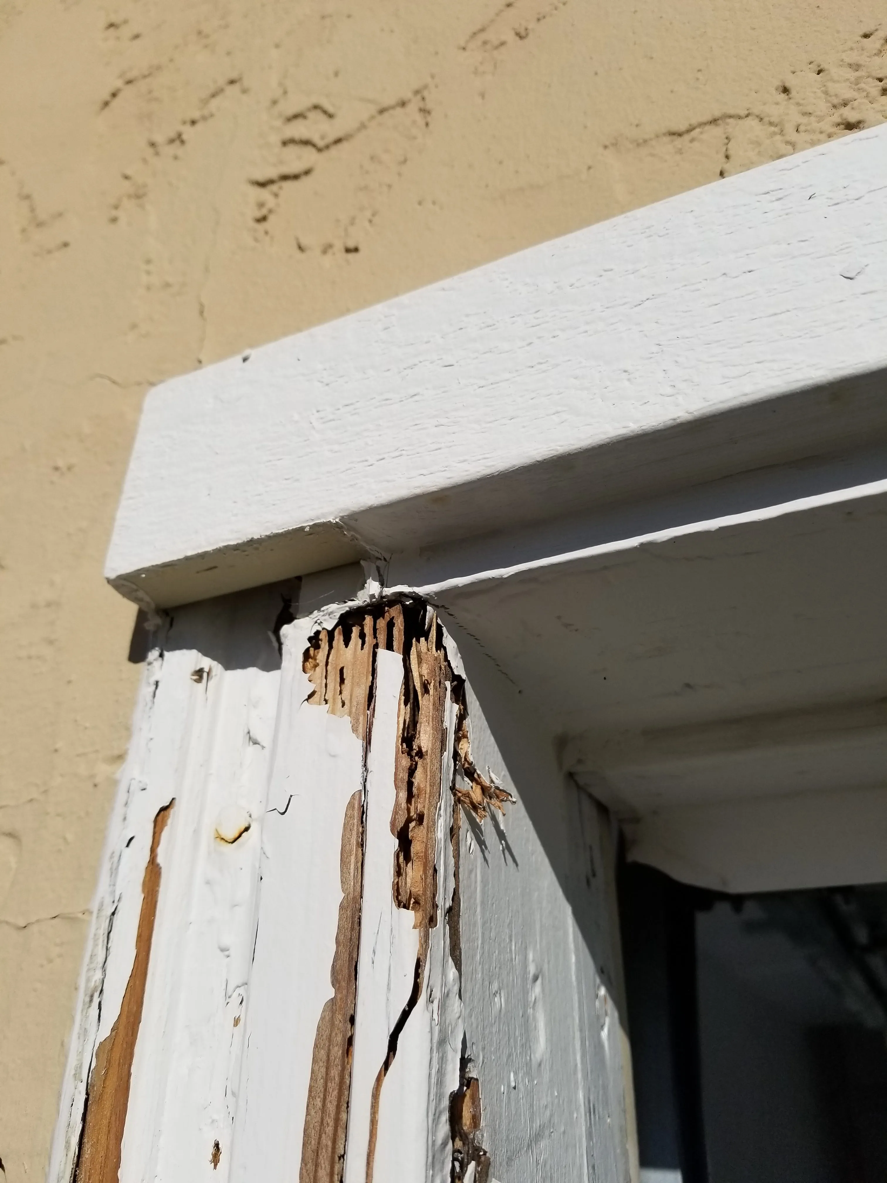 Picture of Hi Tech Termite Control of the Bay Area Inc. - Hi Tech Termite Control of the Bay Area, Inc.