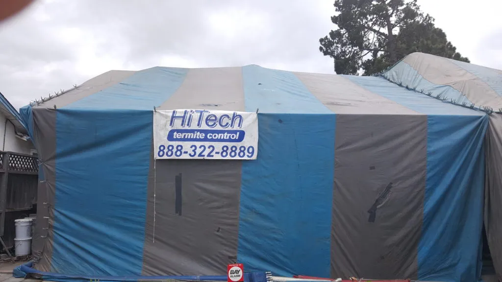 Picture of Hi Tech Termite Control of the Bay Area Inc. - Hi Tech Termite Control of the Bay Area, Inc.