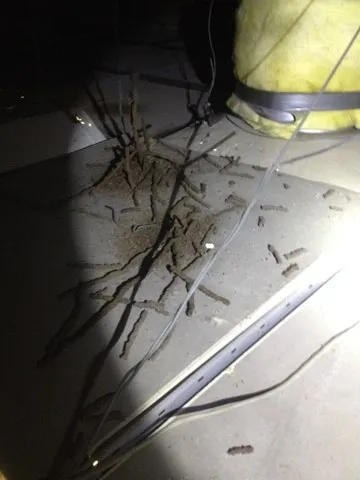 Picture of Hi Tech Termite Control of the Bay Area Inc. - Hi Tech Termite Control of the Bay Area, Inc.