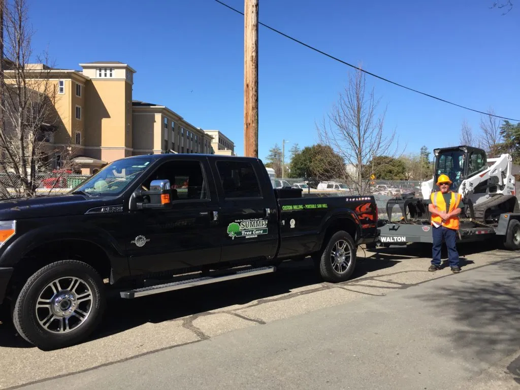 Picture of Summit Tree Care - Summit Tree Care