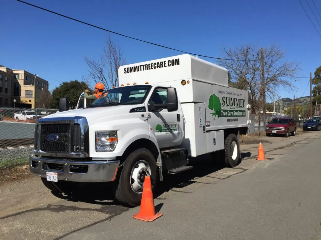 Picture of Summit Tree Care - Summit Tree Care