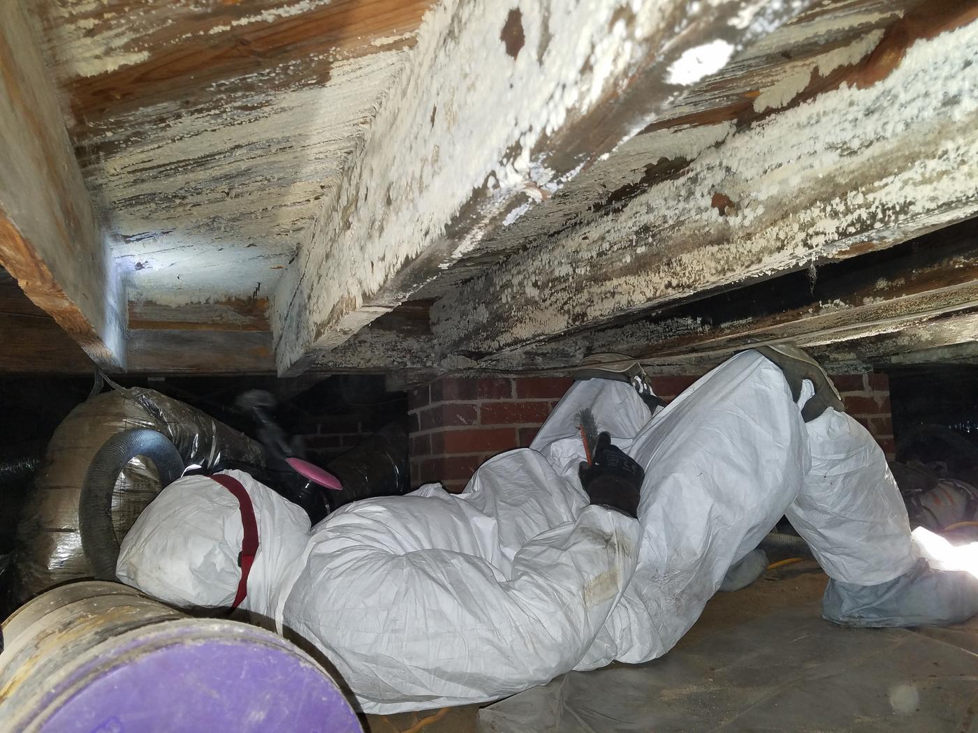 Picture of An Atticare technician cleans a client's crawl space. - Atticare Construction