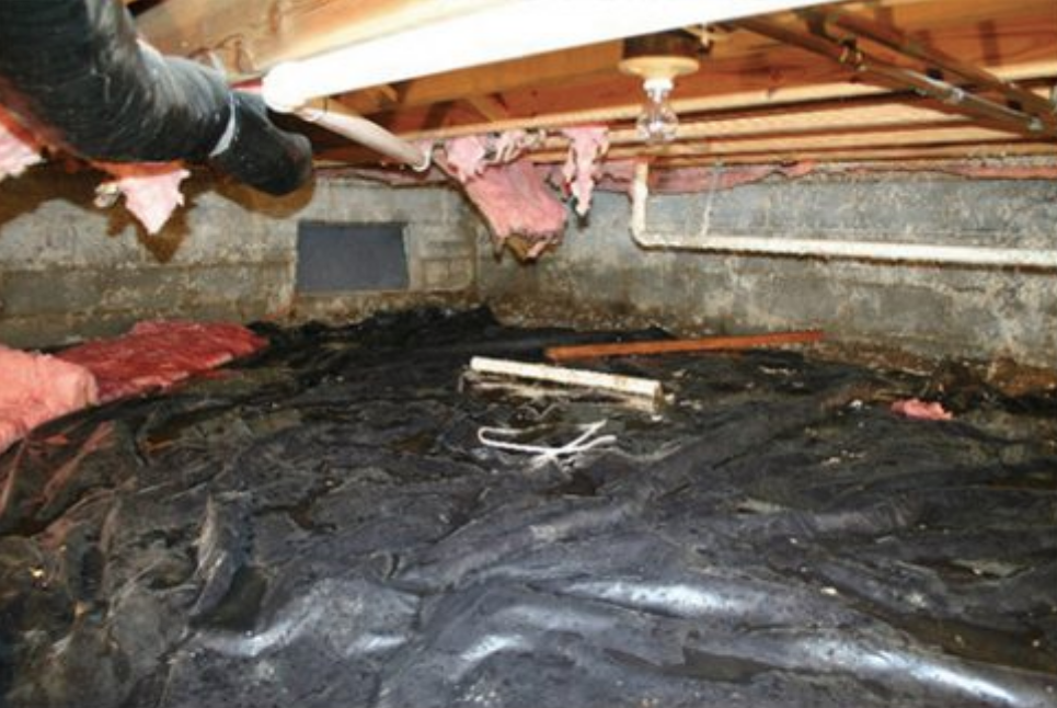 Picture of (1 of 2) This wet crawl space had old damaged insulation and signs of rodent activity. - Atticare Construction