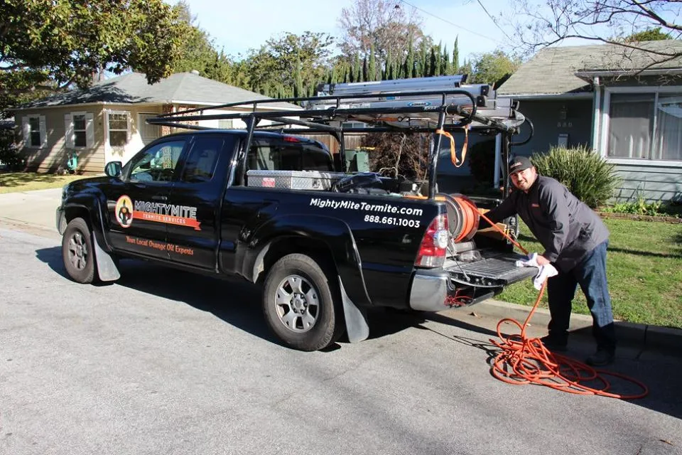 Picture of Mightymite Termite Services - Mightymite Termite Services