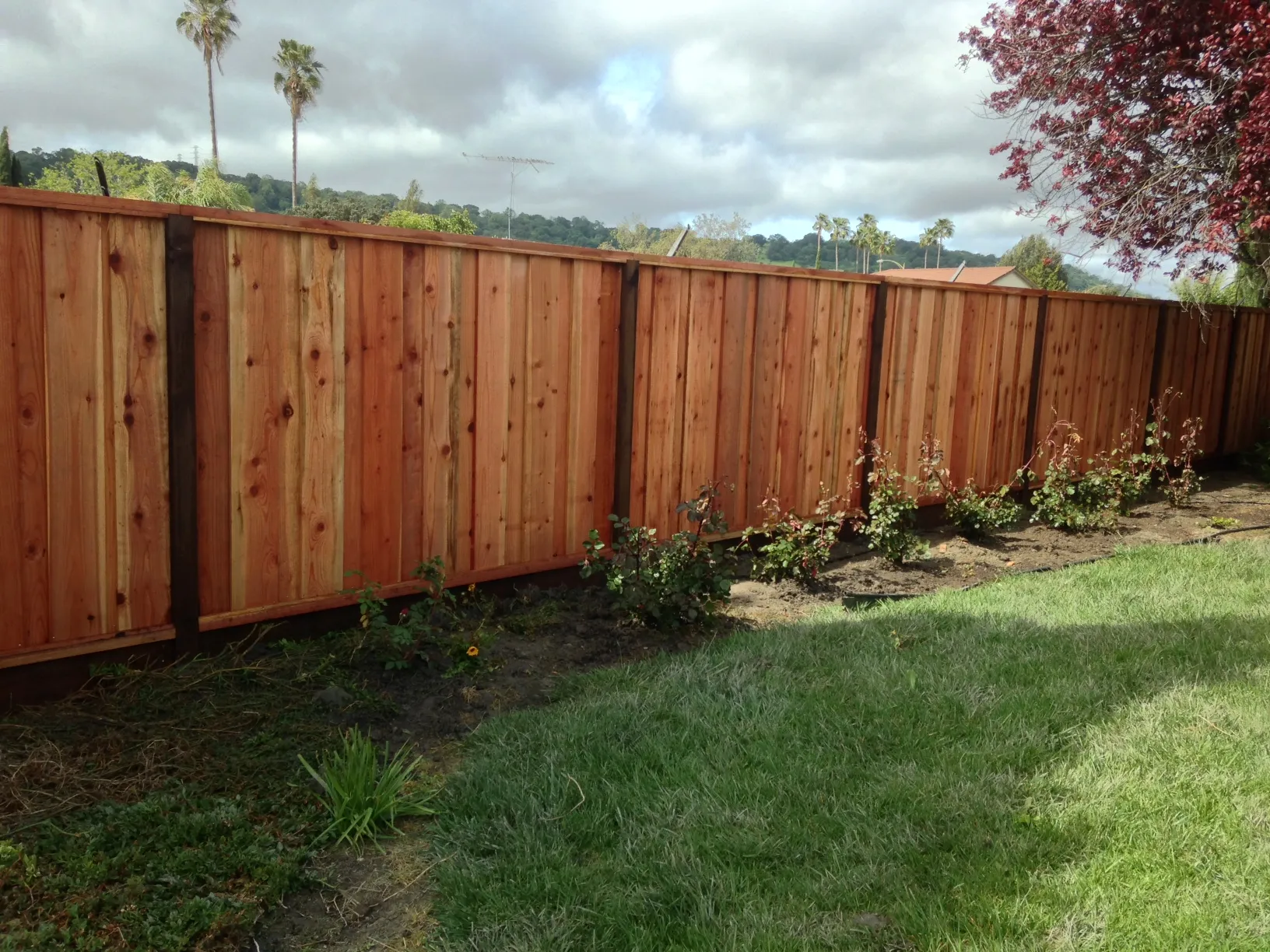 Picture of Meza's Fence - Meza's Fence