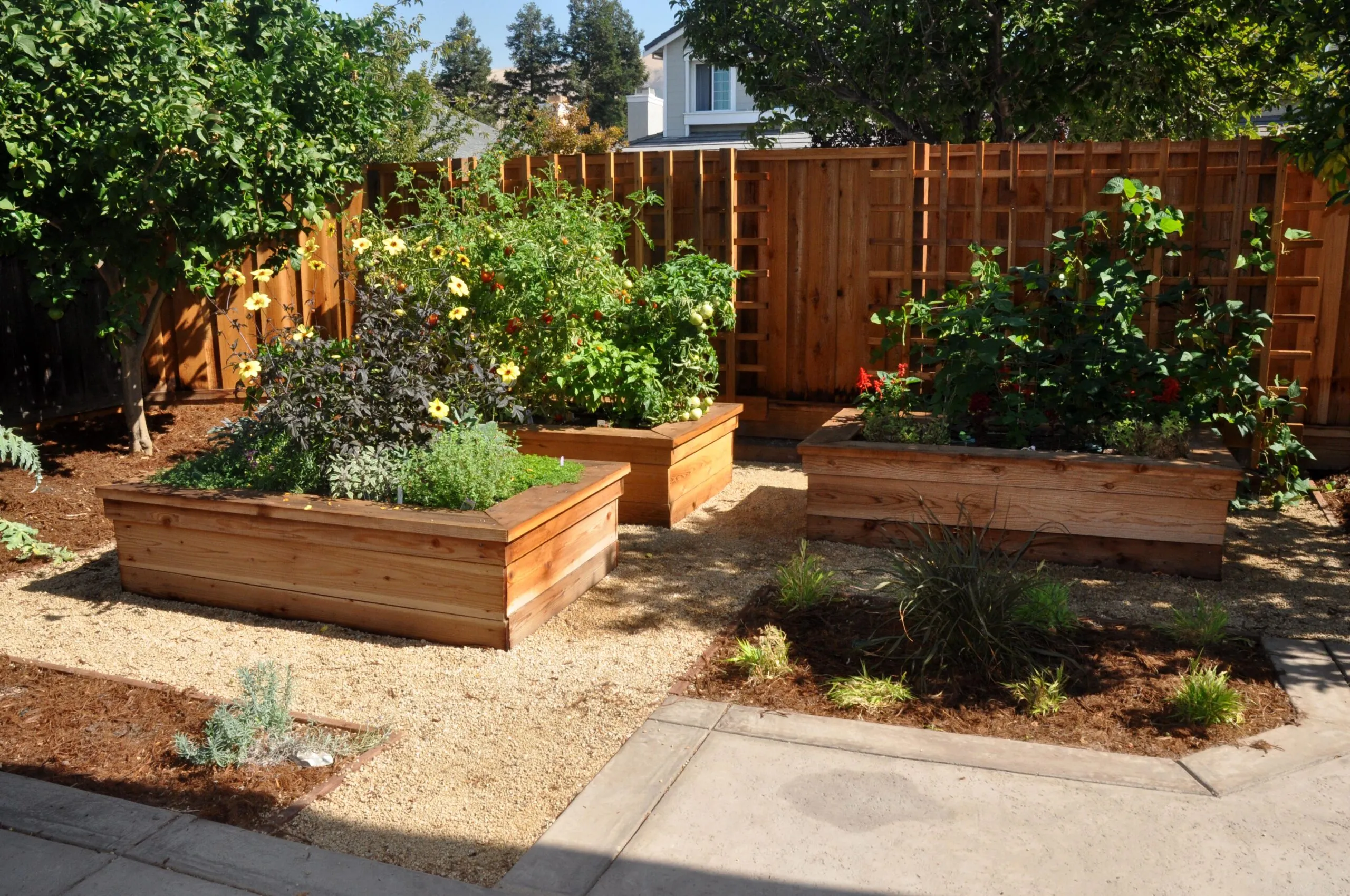 Picture of Koch & Associates installed these custom-made raised redwood planters. - Koch & Associates, Inc.